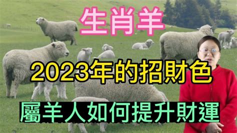 屬羊的幸運色|【羊年幸運顏色】羊年必看！2024屬羊開運秘笈：幸。